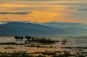 Boat ride to the Tanguar Haor, Bangladesh